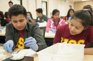 Students participate in a hands-on exercise in compounding, the art and science <span style=