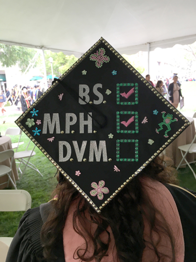Leah Helene Streb, a Keck School of Medicine of USC master of public health graduate, shows off her decorated cap during a commencement reception on May 14, 2016 at McCarthy Quad on the University Park Campus.