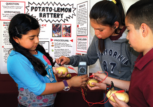 From left, Sheridan School fifth graders Michelle Sanchez, Desserie Velazquez and Justin Manzo demonstrate an electrical circuit powered by potatoes. Other groups of students examined topics including whether small parachutes could protect falling eggs from damage (they could) and whether smelling strong odors such as lemon or mint would influence how a person tastes a chocolate chip cookie (generally, it did). Photo/Jon Nalick 