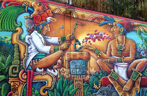 USC hematologist Noah Merin commissioned this  mural at his Lincoln Heights home.