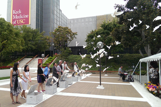 The release of doves signifies the message of hope and survival at the  2015 Festival of Life, sponsored by USC Norris Comprehensive Cancer Center and Keck Medicine of USC.