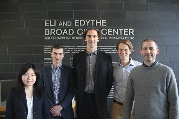 Stem cell researchers, from left, Alexander Pollen, Hsiang-Ying Lee, Sergei Doulatov, Leonardo Morsut and Joan Font-Burgada.