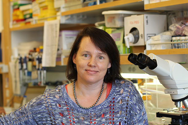Tracy C. Grikscheit has received a grant from the California Institute of Regenerative Medicine Translational Research program to develop a cellular therapy for the treatment of nerve disorders of the digestive system.