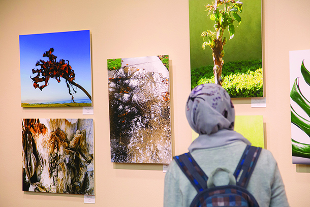 Artwork by faculty, staff and students is displayed in the Hoyt Gallery during the Spring gallery opening, April 27 in the Keith Administration Building.