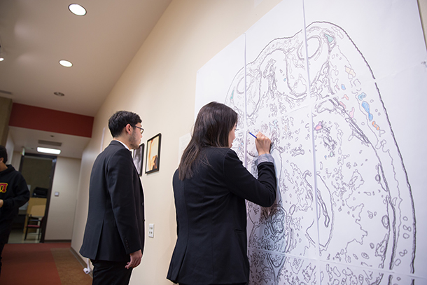 Students examine art on display in the Hoyt Gallery. The new exhibit features artwork inspired by the neurosciences system.