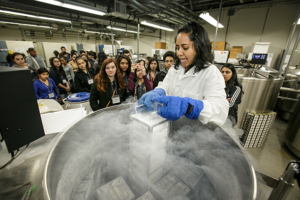 USC masters student Varsha Samararatne shows students how cells are held in long-term cold storage tanks at -195 degres Celsius. (Photo/David Sprague)