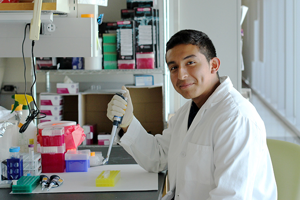 Richard Lopez, a student at Choate Rosemary Hall in Connecticut, spent his summer internship in the lab of Andy McMahon.