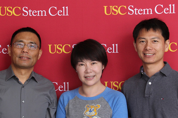 From left, Qi-Long Ying, Min Zhou, and Ying Lab postdoc Shi (Steve) Yue.