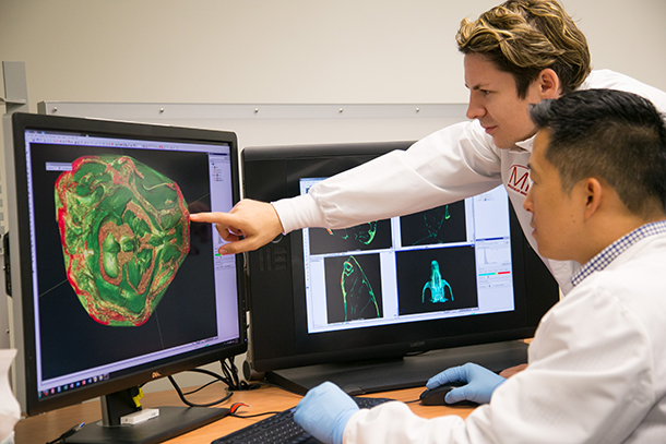 Researchers can access the Molecular Imaging Center to conduct translational research, among other services.