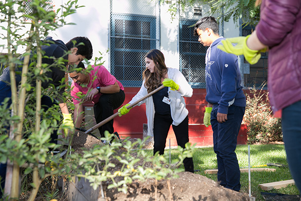 Keck Medicine of USC employees join Hollenbeck Middle School students to plant fruits and vegetables in a new Teaching Garden.