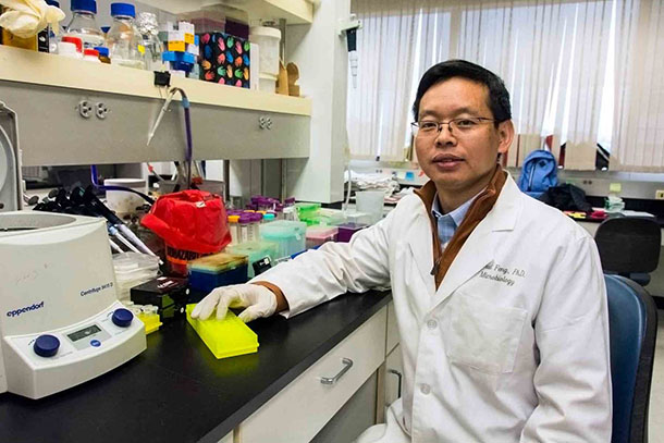 Pinghui Feng received a $100,000 grant from the L.K. Whittier Foundation that helped secure millions in federal support for his research.
