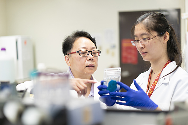 Jing Liang has identified the gephyrin-GABAa-receptor pathway as a target for treating Alzheimer’s with DHM, and her discovery holds potential for combating other neurological disorders as well.