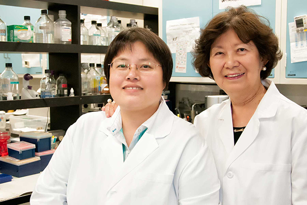 Pei Chuan Li, left, and Jean C. Shih are researching the role of a specific enzyme in treating prostate cancer. 
