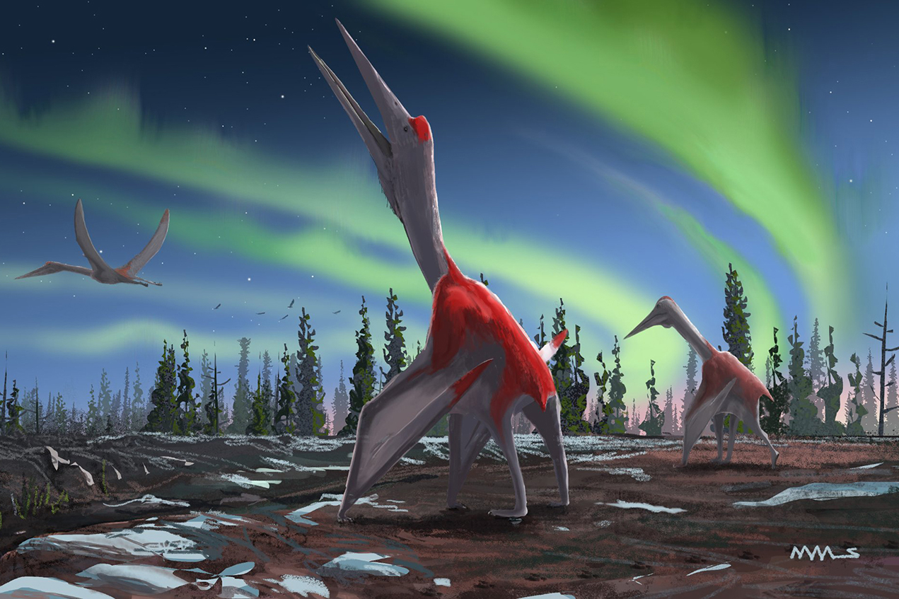 USC scientist and colleagues identify new species of giant flying reptile