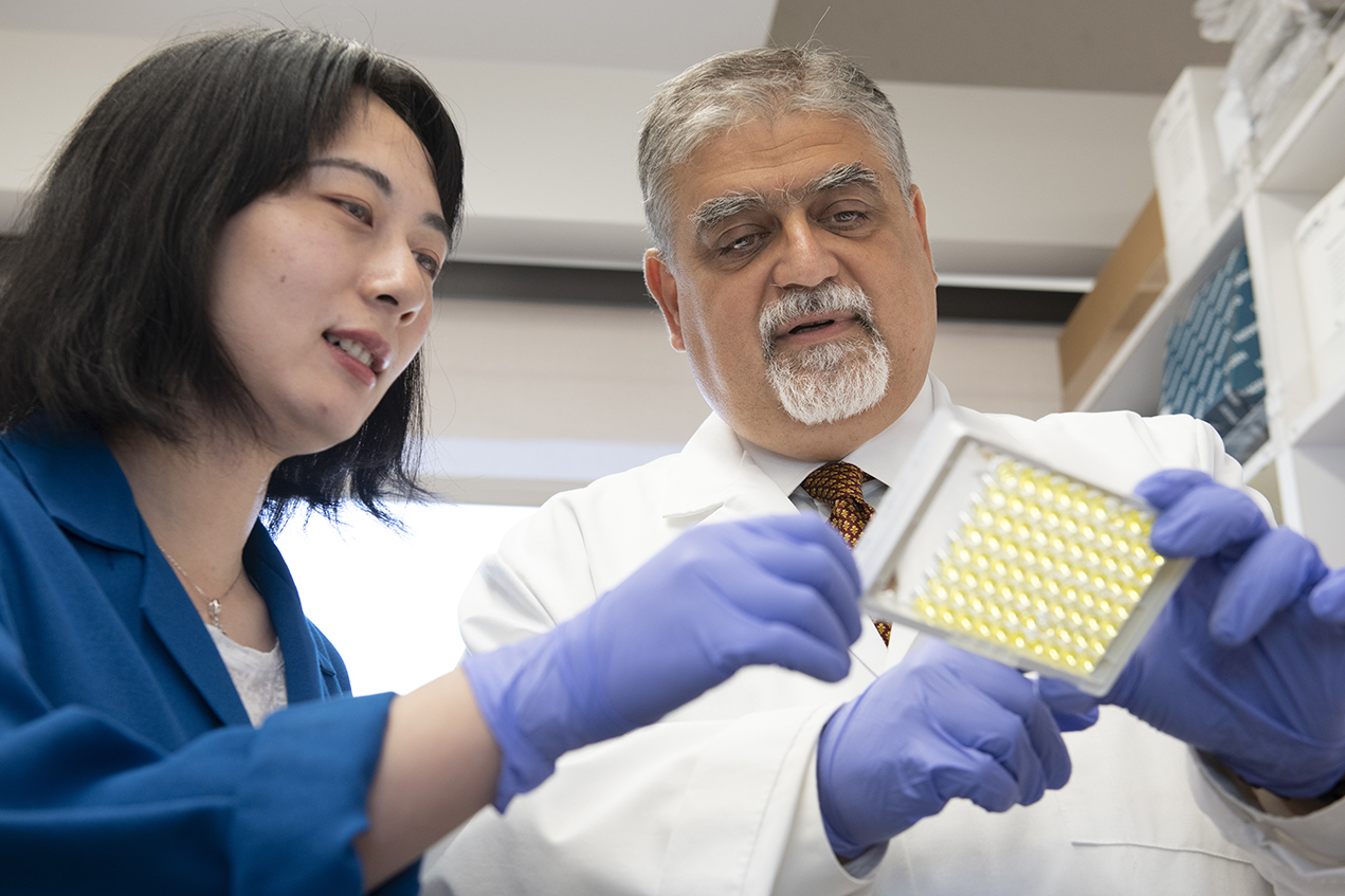 Vassilios Papadopoulos, right, with researcher Lu Li. His team has found a way to grow testosterone-producing cells in a lab for the first time, using a combination of stem cells, human collagen, nutrients and other ingredients.