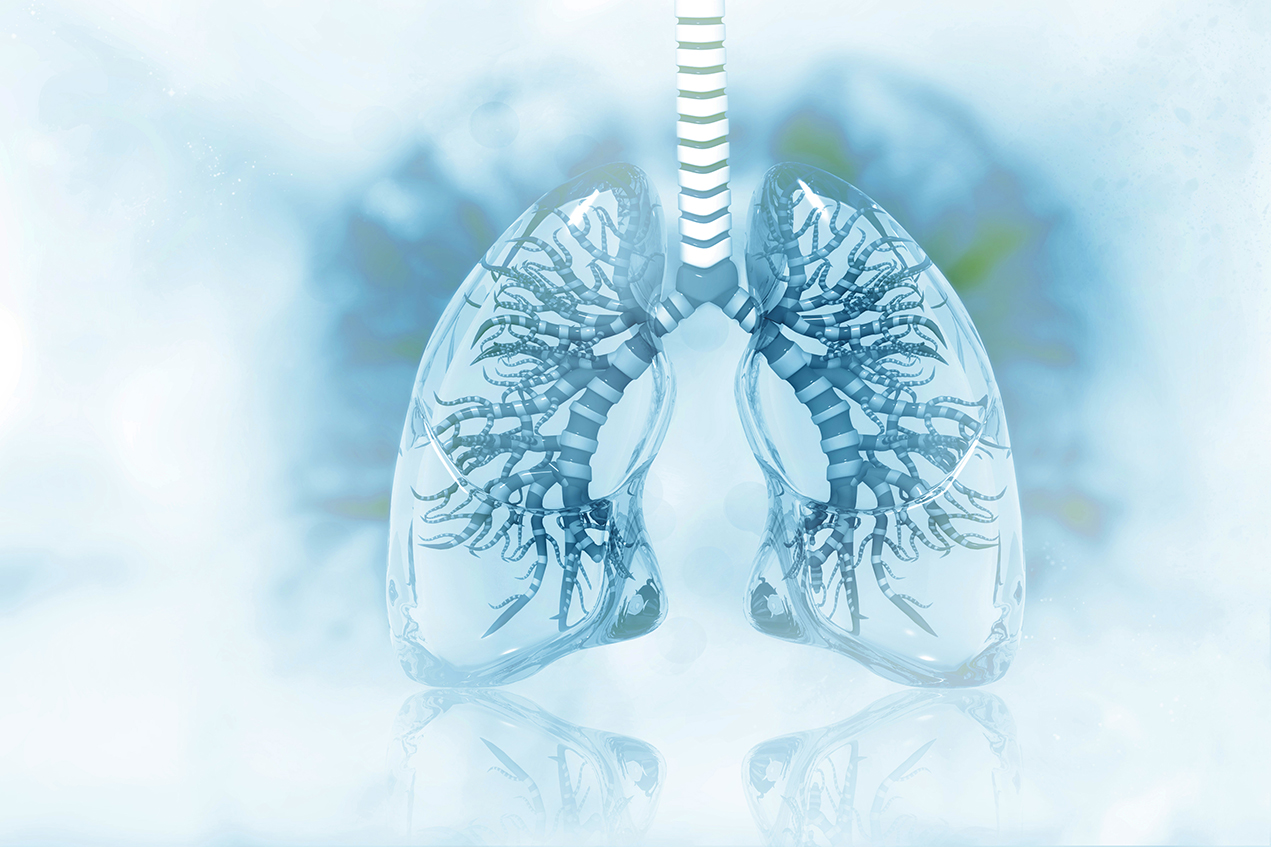 Researchers at Children’s Hospital Los Angeles have made a critical advance in the field of lung research by looking at how the human lung develops at the single cell level.