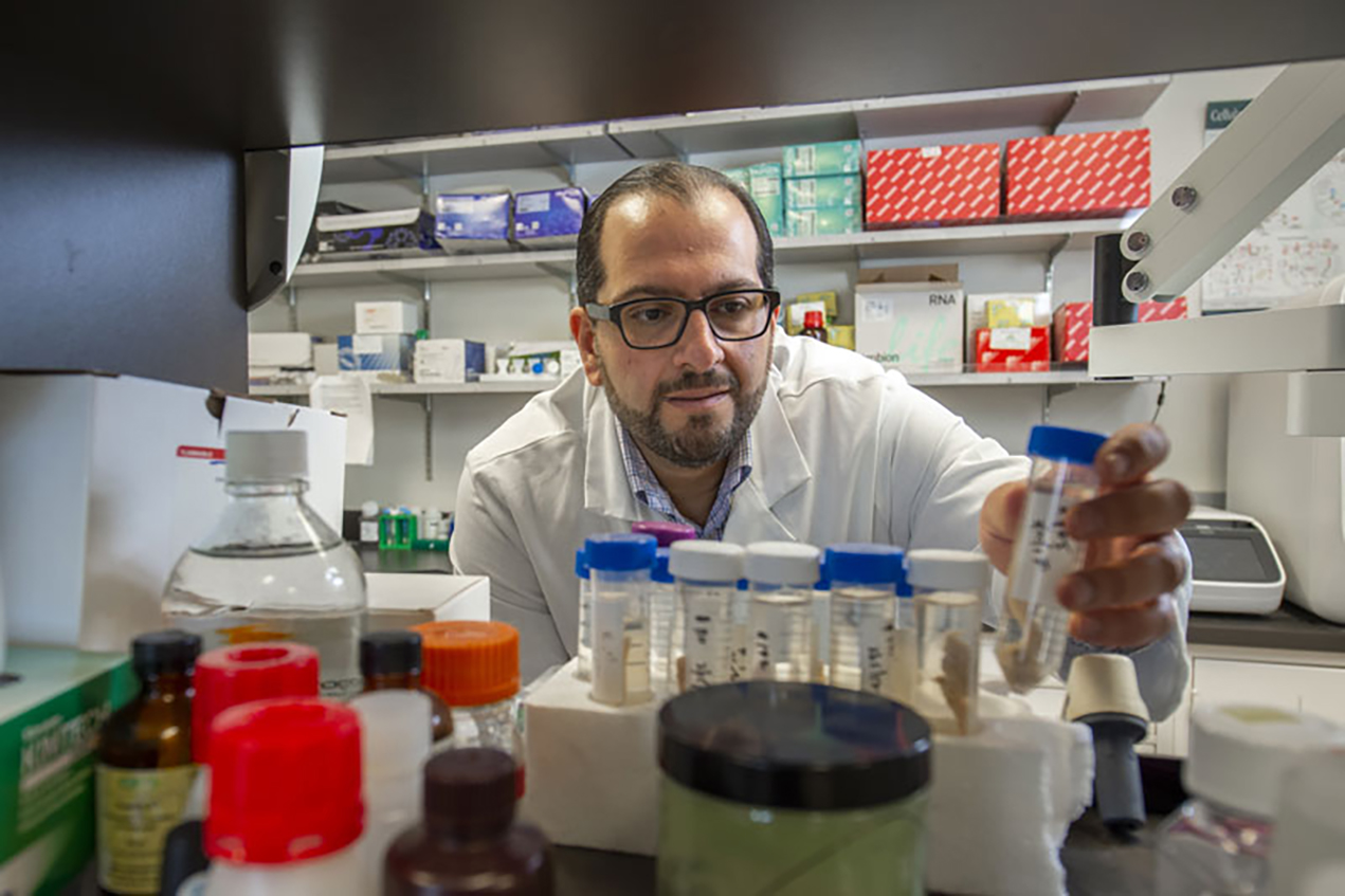 Josh Neman, PhD, specializes in studying cancer cells that spread to the brain.