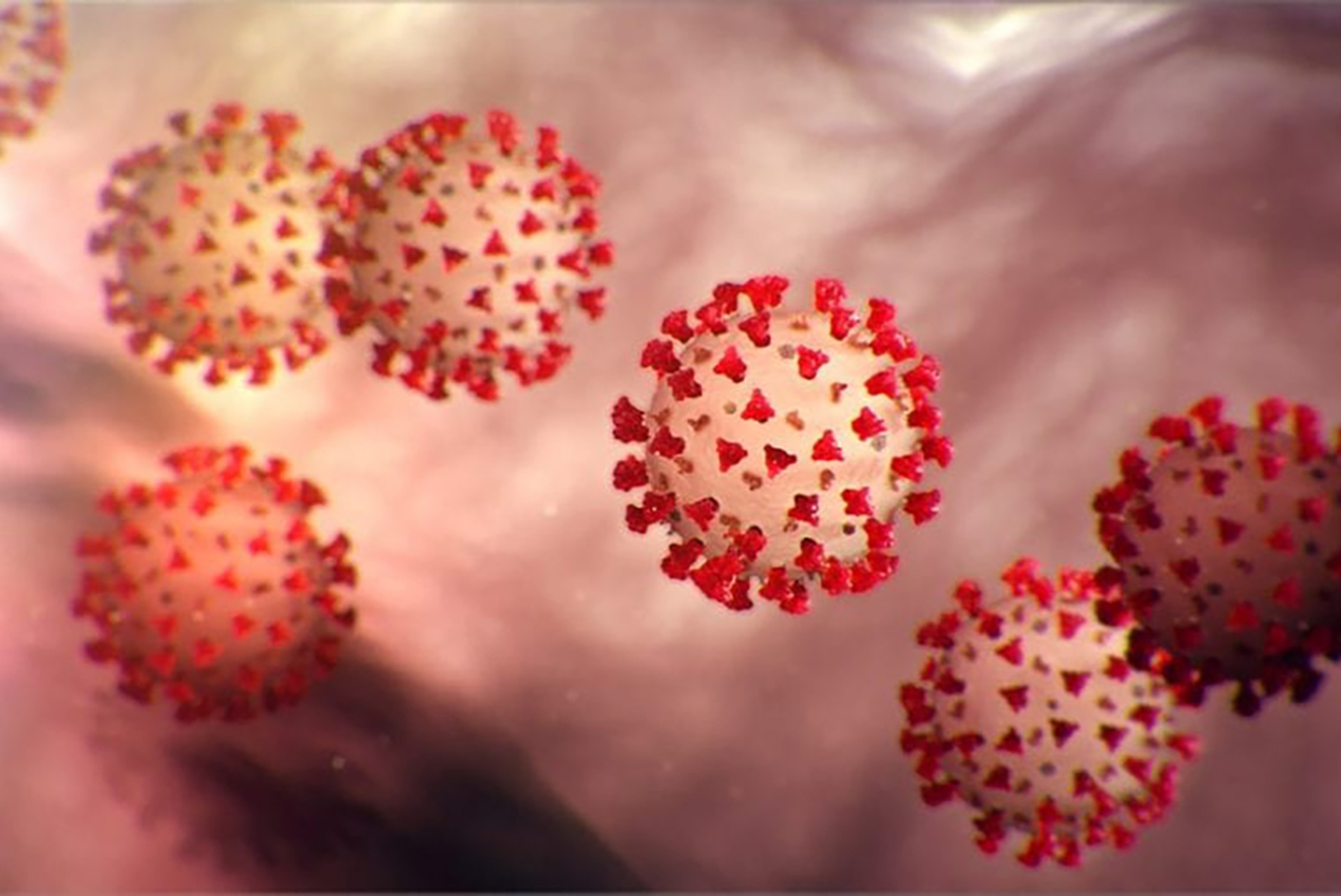 A microscopic view shows the COVID-19 virus.