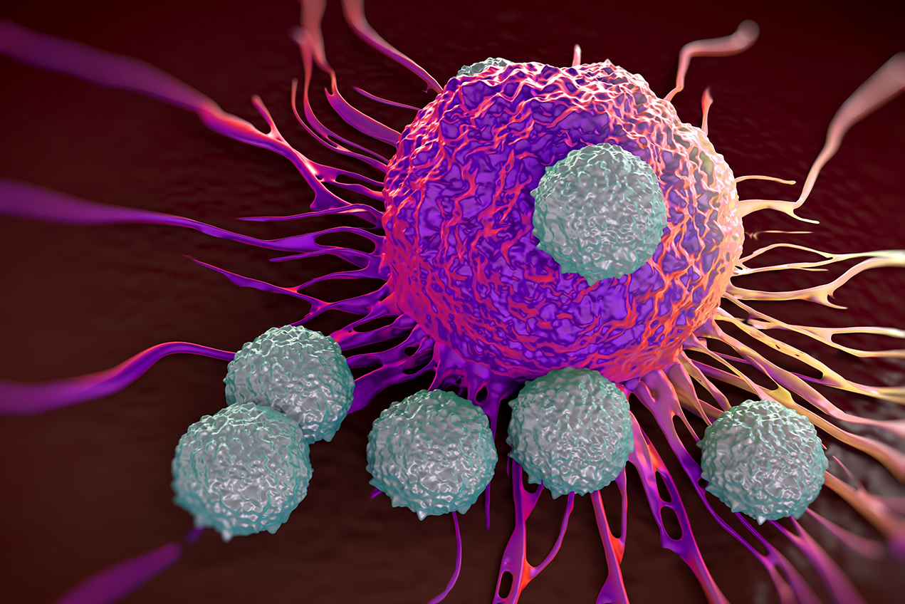 An illustration depicts T-cells attacking a cancer cell.