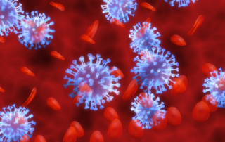 Blue coronaviruses float among red blood cells.