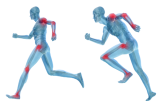 An illustration offers an X-ray view of two people running with their joints highlighted.