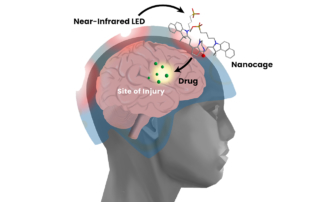 An illustration demonstrates the nanocage drug delivery system to the brain.