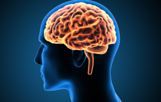 In illustration depicts a human brain glowing inside a bald head.