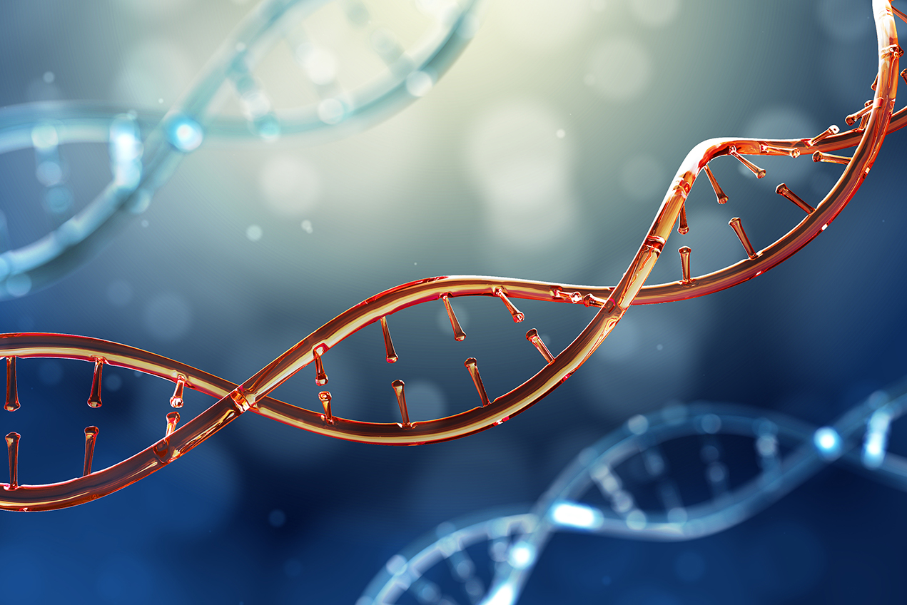 A stylized DNA strand illustration