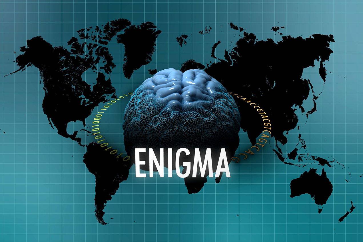 The Enhancing NeuroImaging Genetics through Meta-Analysis (ENIGMA) Consortium is a collaborative network of researchers working together on a range of large-scale studies that integrate data from institutions across the globe.