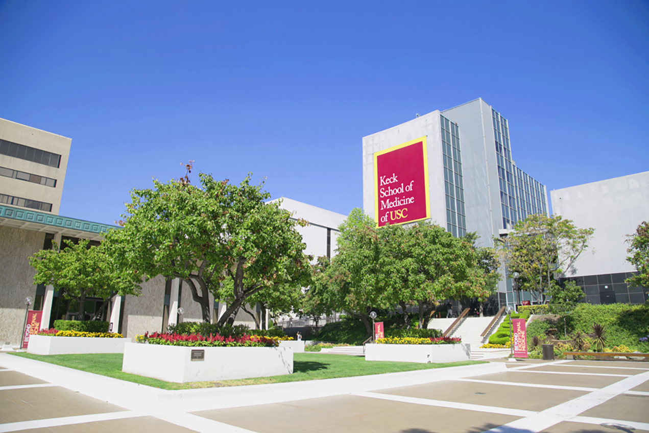 This year, the Keck School of Medicine of USC has continued its rise through the National Institutes of Health funding ranks. 
