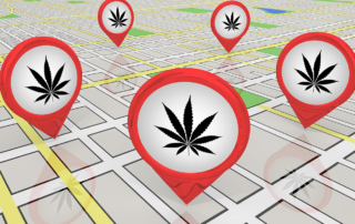 Tags with cannabis symbols densely dot a street map.
