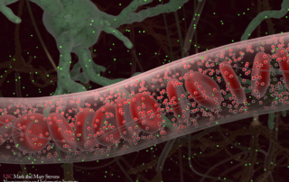 An image depicts a see-through blood vessel among neurosynapses.