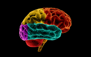 A colorful rendering of a brain glows brightly against a black backdrop.