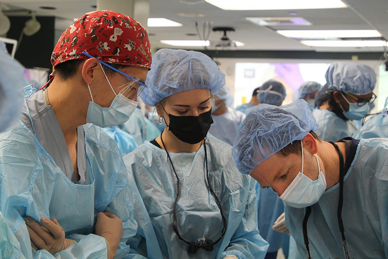 The Cutting Edge, a two-day course, provides a unique, hands-on approach to surgery education.