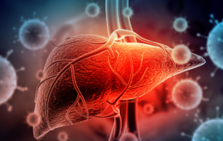 A computerized illustration shows a red liver surrounded by gray cells