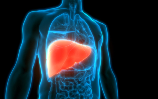 An illustration depicts a transparent human body with a glowing orange liver.