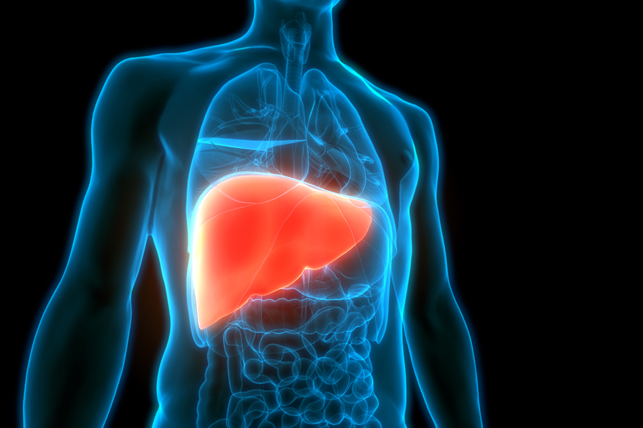 The trial will involve patients from the USC Norris Comprehensive Cancer Center with advanced primary liver cancers or with advanced solid tumors with liver-predominant metastatic disease.