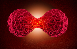 A scientific rendering depicts a cancer cell splitting in two.