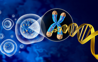 A scientific rendering shows a strand of DNA and a gene approaching a cell floating in a blue space.