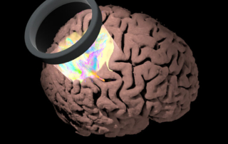 A lens hovering over a brain illuminates a portion of it in bright colors.