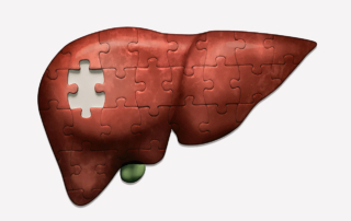 An illustration depicts a liver as a jigsaw puzzle