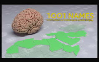 A graphic shows a brain on a map of the Middle East and North Africa