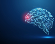 An illustration depicts the genetic complexity of a brain tumor