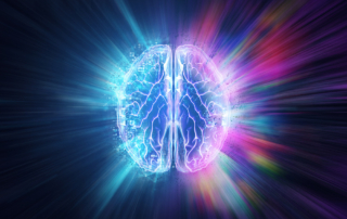 Illustration of the human brain
